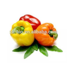 Organic Dehydrated Bell Pepper Flakes Powder